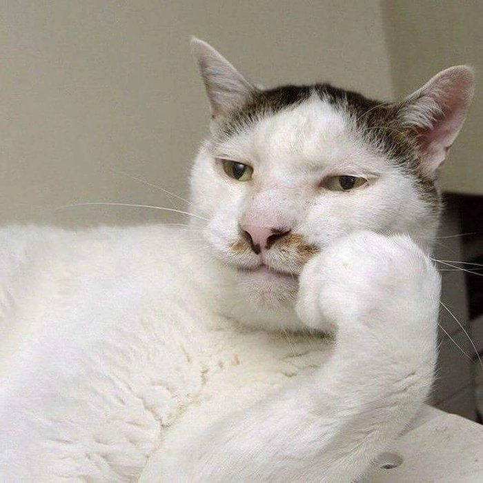 Meme sigma face siêu ngầu và ấn tượng, không thể thiếu trong bộ sưu tập meme của bạn.