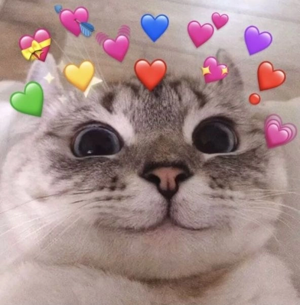 Anime face meme cực kỳ dễ thương và mang đến những tiếng cười sảng khoái.