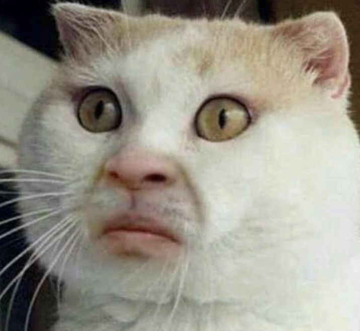 Angry face meme mang đến những biểu cảm giận dữ nhưng cực kỳ dễ thương.