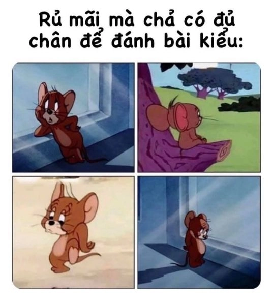 Meme la gì trên facebook cực kỳ thú vị và hài hước, giúp bạn giải trí.