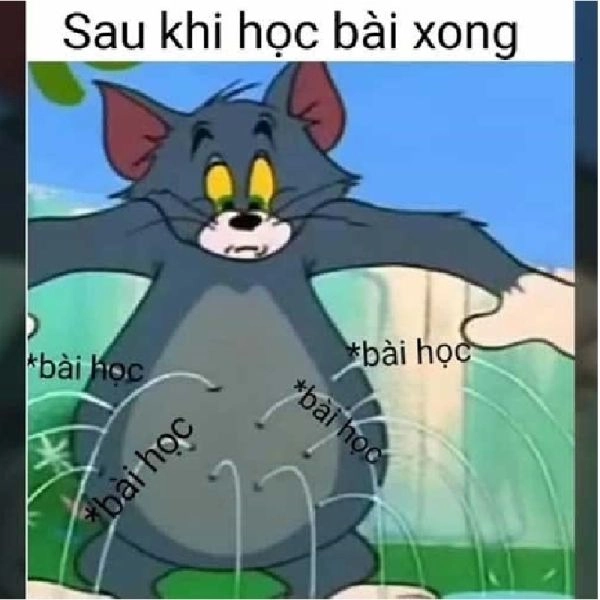 Weibo meme gấu trúc troll face cực kỳ bựa và hài hước, khiến người xem không thể nhịn cười.