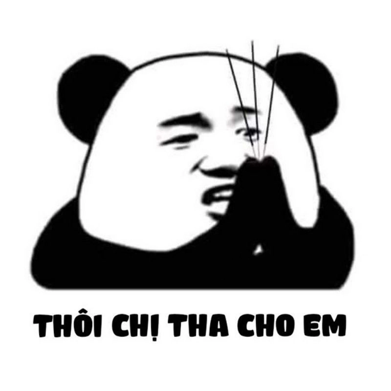 Meme gấu hài hước là lựa chọn hoàn hảo để giải trí sau một ngày dài!