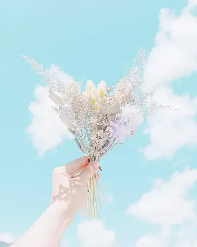 Tạo ấn tượng mạnh với avatar phong cảnh chill, thể hiện cá tính và sở thích thiên nhiên của bạn.