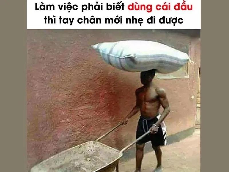 Meme da đen bất ngờ luôn khiến mọi người không thể nhịn cười.