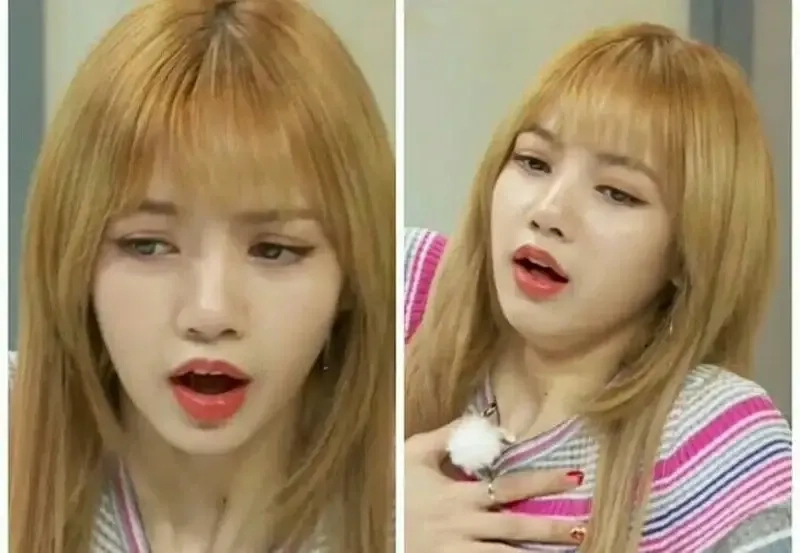 Khám phá những blackpink house meme dễ thương khiến bạn yêu thích.