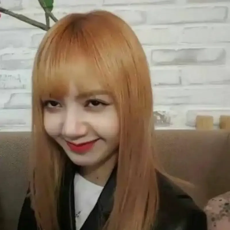 Những lisa meme cực kỳ hài hước mang lại những phút giây thư giãn.
