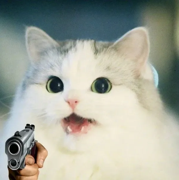 Cười bể bụng với meme mèo cầm súng độc đáo siêu ngầu.