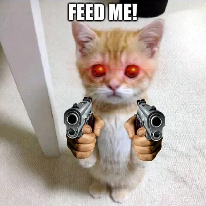 Ấn tượng với anime cầm súng meme độc đáo và sáng tạo.