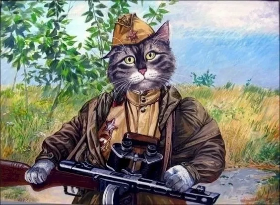 Meme gấu trúc cầm súng dễ thương khiến bạn cười mãi không thôi.