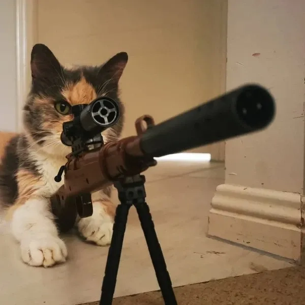 Cười thả ga với chó dễ thương meme cầm súng cực ngộ nghĩnh.