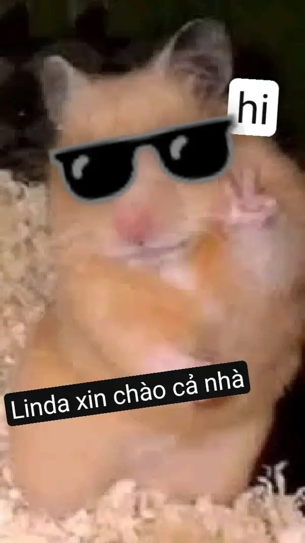 Meme chào em tạo cảm giác gần gũi và thân thiện.