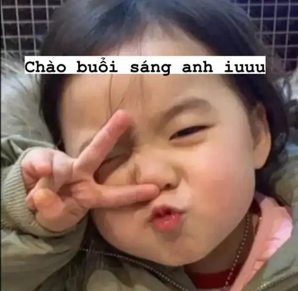 Hình ảnh dễ thương từ hình ảnh xin chào meme độc lạ.