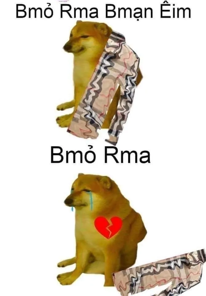 Cheems meme việt nam đã chiếm trọn trái tim của cộng đồng mạng!