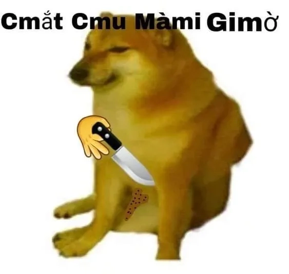 Cơ bắp cheems meme vietnam khiến bạn phải thán phục vì sự ngầu lòi!