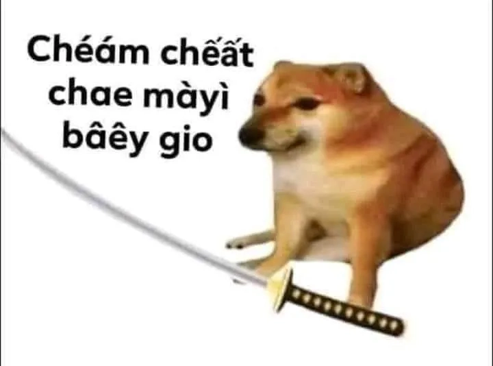 Hình meme cheems là sự lựa chọn tuyệt vời cho ngày đầy vui vẻ!