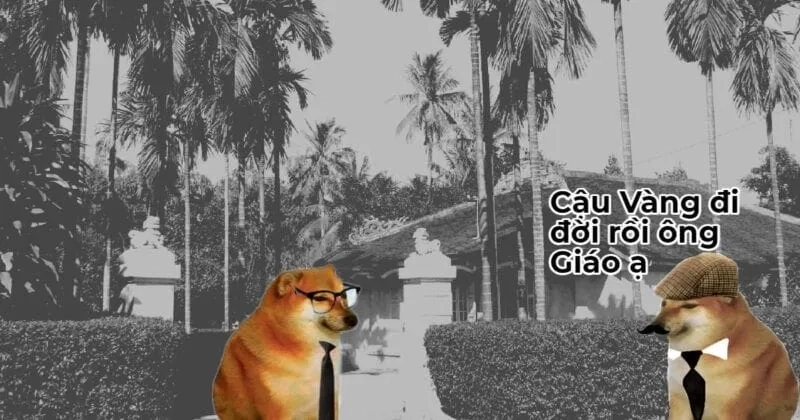 Cùng khám phá cheem meme cheems để thêm phần vui nhộn!