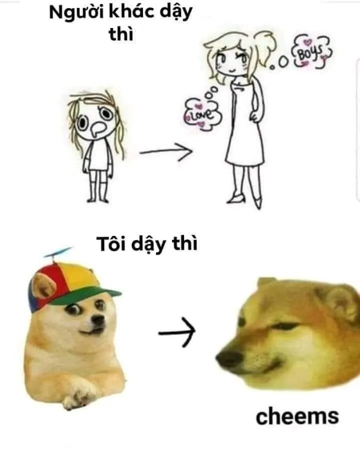 Joker meme cheems chúa hề mang đến niềm vui bất tận, không thể bỏ qua!
