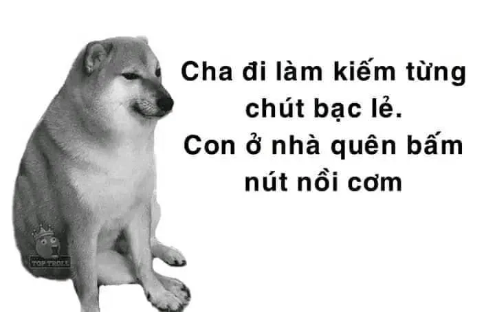 Rạp xiếc meme cheems chúa hề với những màn trình diễn vô cùng hài hước!
