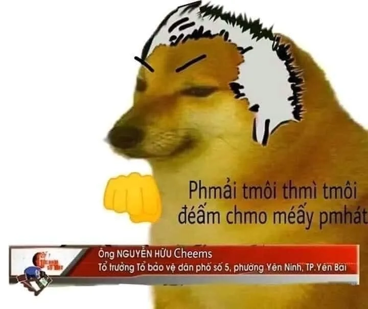 Khám phá meme cheems ảnh mèo cầm phóng lợn cực kỳ hài hước!