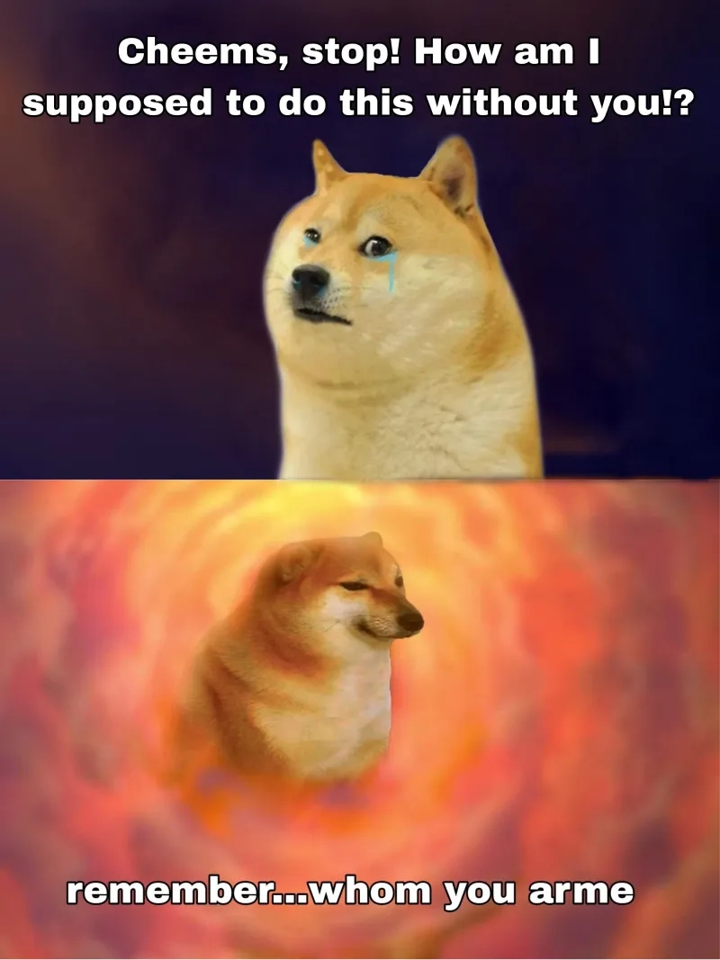 Người que meme cheems mèo cầm phóng lợn cực kỳ độc đáo và thú vị!