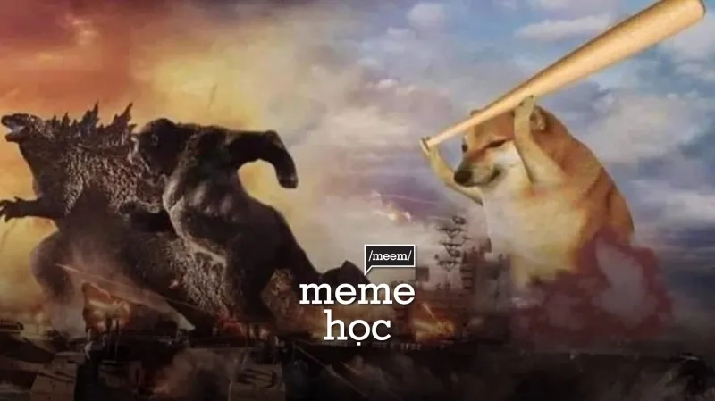 Hình nền cheems meme cực dễ thương cho màn hình điện thoại của bạn!