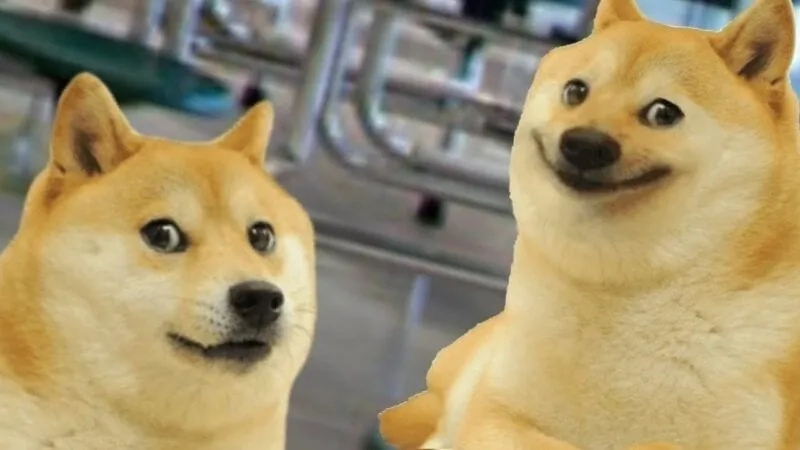 Meme tết cheems tết mang không khí vui tươi, đón chào năm mới!
