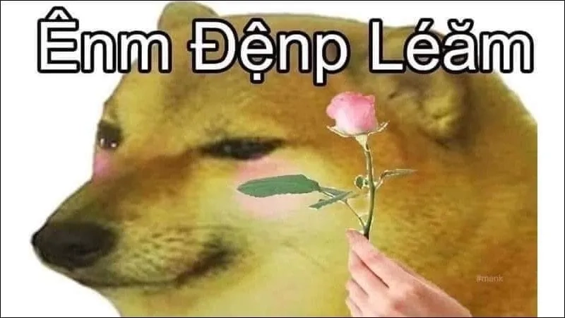 Những hình ảnh meme cheems hài hước giúp ngày của bạn thêm phần thú vị!
