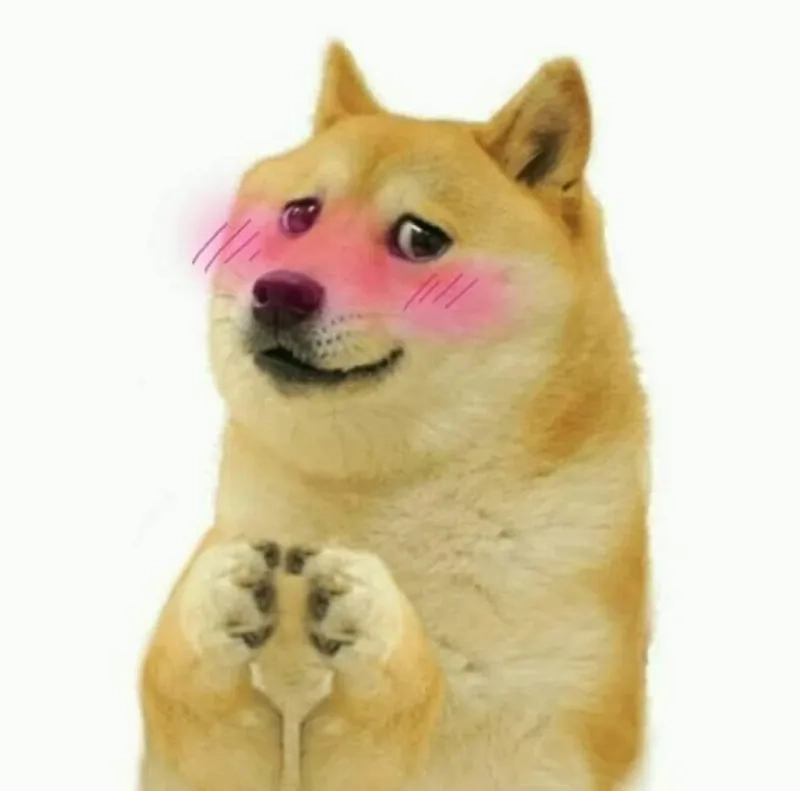 Meme chó hài sẽ là nguồn giải trí tuyệt vời, mang lại tiếng cười cho bạn và bạn bè.