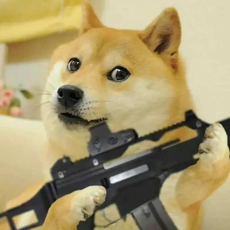 Sống chó meme mang đến những khoảnh khắc vui nhộn, khiến bạn không thể nhịn cười.