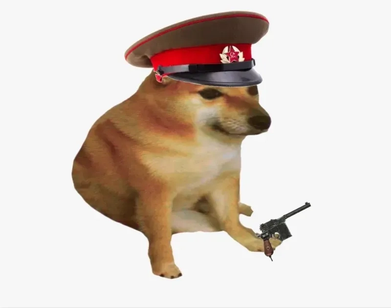 Meme chó hài ngộ nghĩnh và đáng yêu sẽ giúp bạn giải trí và thư giãn sau những giờ làm việc căng thẳng.