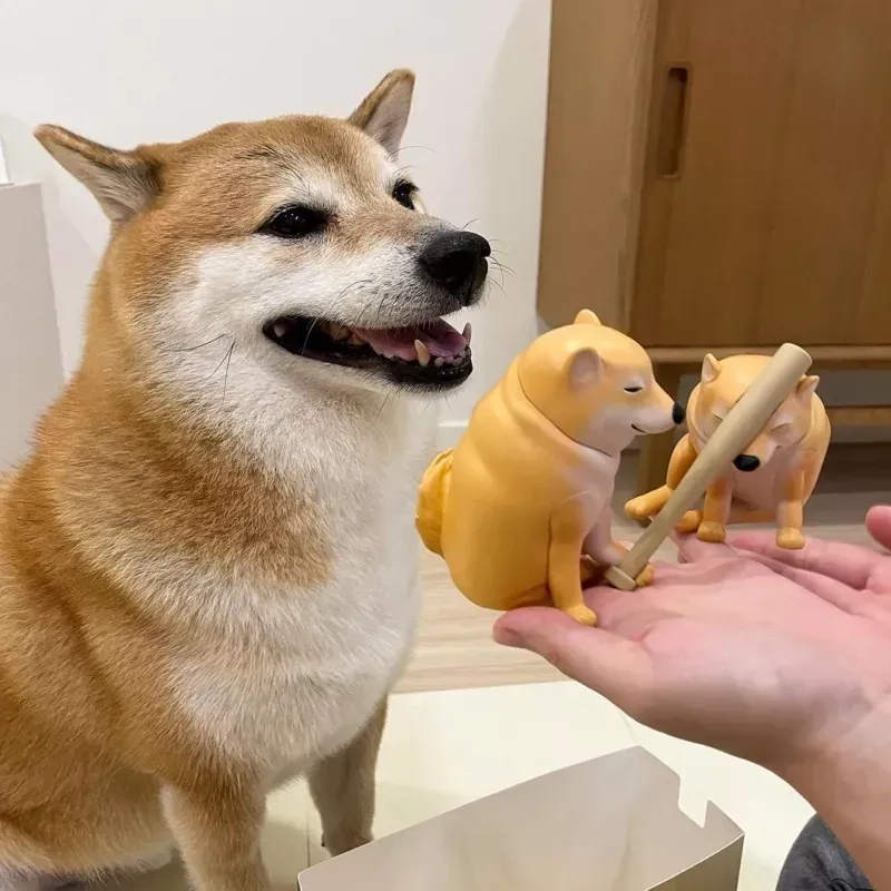 Hình ảnh chó meme sẽ là món quà giải trí tuyệt vời cho những ai yêu thích động vật.
