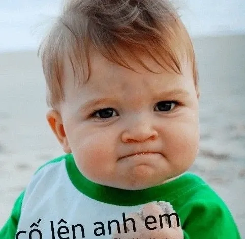Cười không ngừng với những cố chấp meme hài hước và đầy cảm xúc!