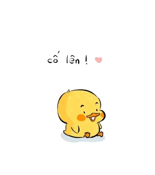 Tìm thấy sự hài hước trong những cốt meme sea độc đáo và vui nhộn.