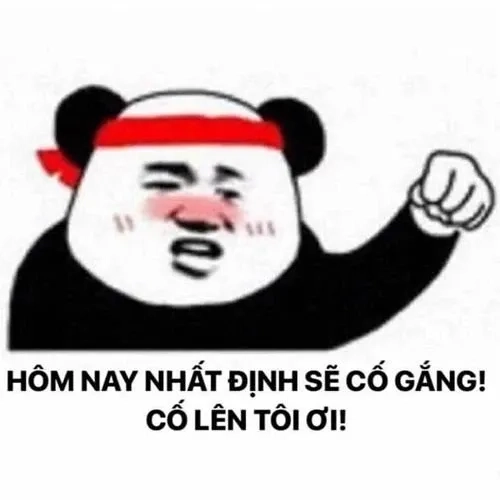 Những lúc giải thích khó khăn, đừng quên meme tôi đang cố giải thích để thư giãn.