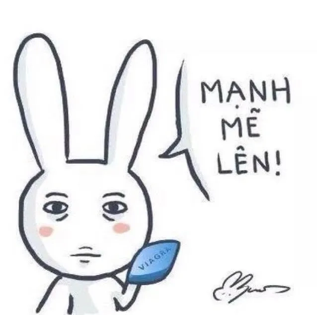 Những cố lên meme mèo dễ thương sẽ mang lại cho bạn những giây phút thư giãn tuyệt vời.