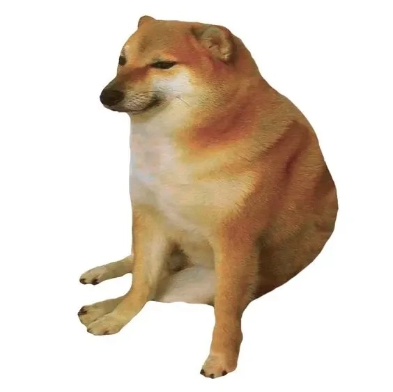 Avatar dog meme độc đáo, phù hợp để thể hiện cá tính riêng.