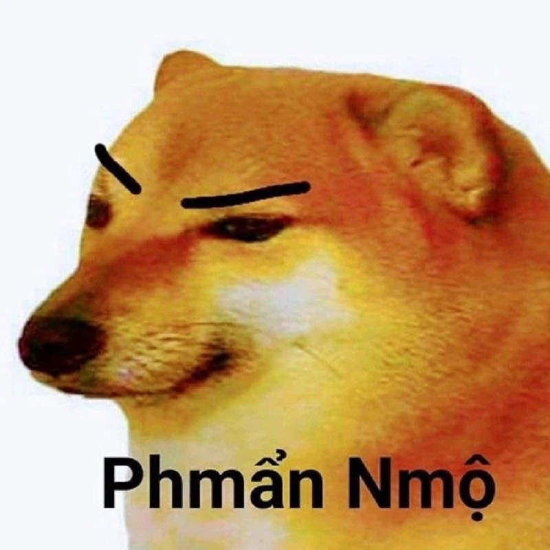Những meme tức giận cute khiến ai nhìn cũng phải mỉm cười.