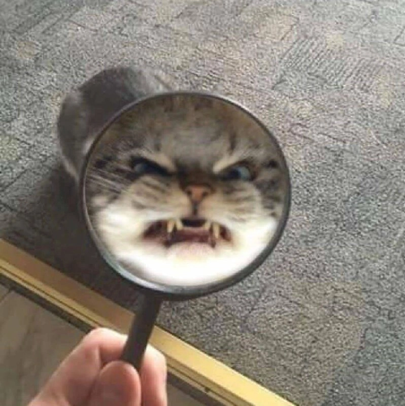 Meme em bé giận dễ thương, nhìn là muốn ôm ngay lập tức.
