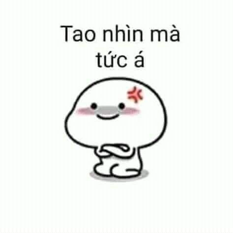 Meme con mèo tức giận, một biểu cảm cực kỳ biểu cảm và hài hước.