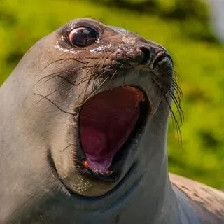 Với ảnh meme, hài hước, bạn sẽ có những phút giây thư giãn tuyệt vời!