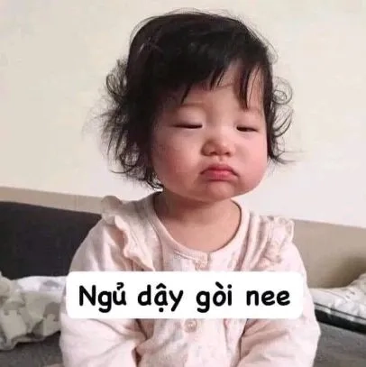 Những meme ảnh chó hài này sẽ khiến bạn không thể nhịn cười!