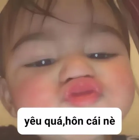 Những cute ảnh meme hài này sẽ khiến bạn cười ngất!