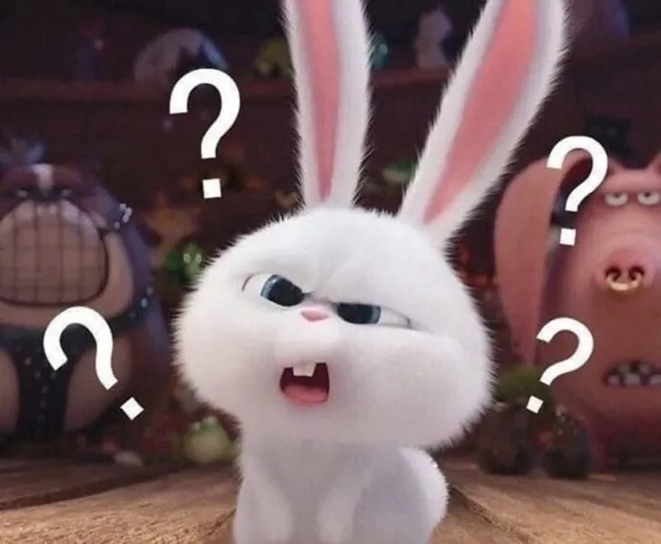 Biểu cảm thú vị của không biết nói gì meme, cười không ngớt.