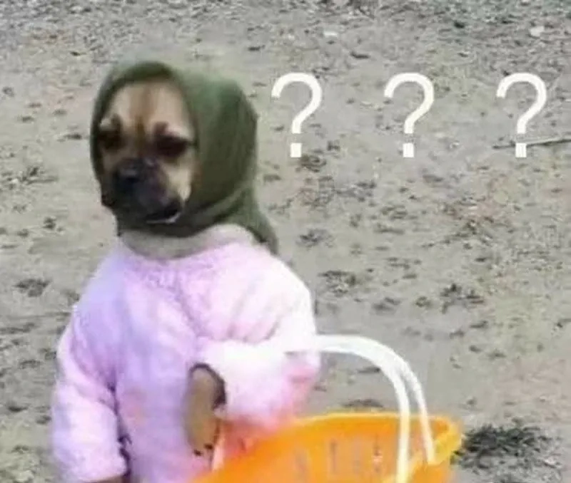 Ngộ nghĩnh và dễ thương, ảnh meme không chữ hợp mọi ngữ cảnh.