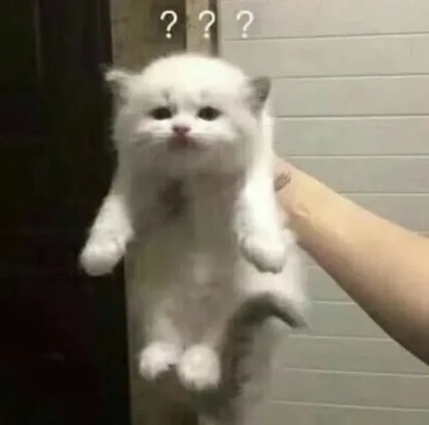 Dễ thương và hài hước, meme không biết hợp mọi cảm xúc.