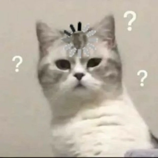Đầy bất ngờ và thú vị với không có gì meme, cuốn hút mọi ánh nhìn.