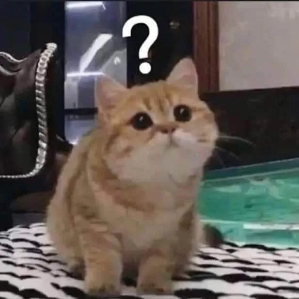 Cực dễ thương và đáng yêu, không biết gì hết meme khó cưỡng.