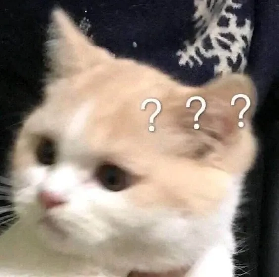 Cười thả ga với meme 10 điểm không có nhưng ngộ nghĩnh.