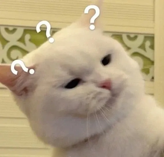 Dễ thương và hài hước, meme không ngủ được phù hợp mọi ngữ cảnh.
