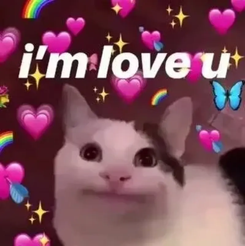 Mèo cute meme là cách tuyệt vời để làm mới không gian mạng xã hội của bạn, mang đến niềm vui và sự dễ thương.